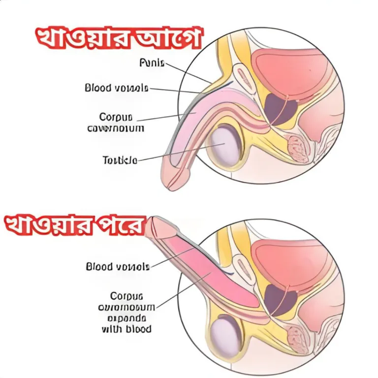 কার্যকারিতা ইমেজ